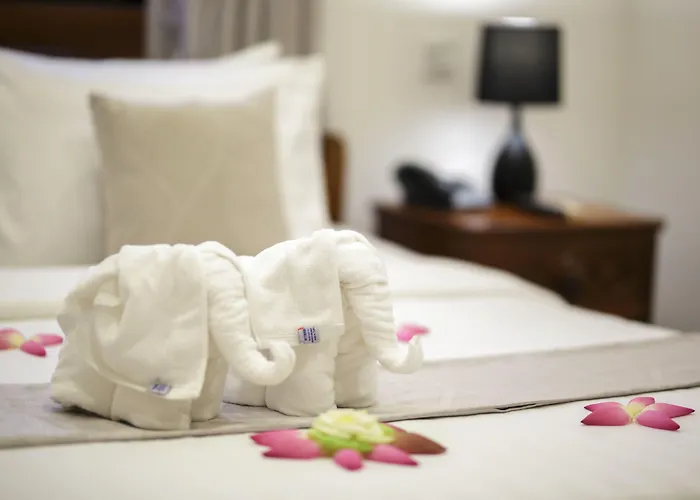 Hotel The One By Nika 3*